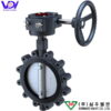 Van bướm lug type