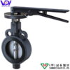 Van bướm tay gạt SW