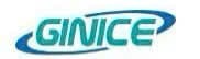 GINICE