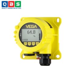 Màn hình hiển thị VEGADIS 81