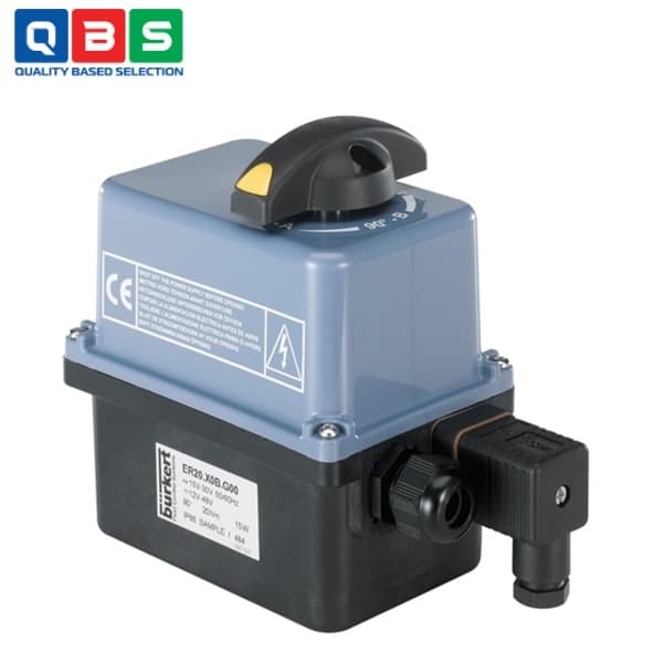 Bộ truyền động quay điện Type 3003 - Ảnh 2