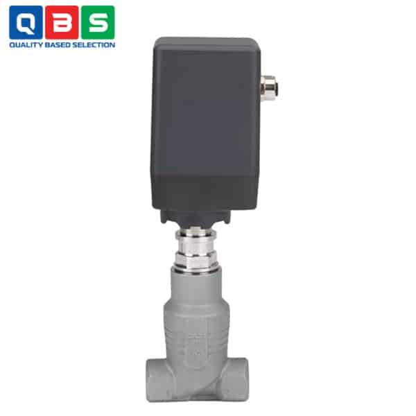 Van động cơ 2 chiều Type 3281 - Ảnh 3