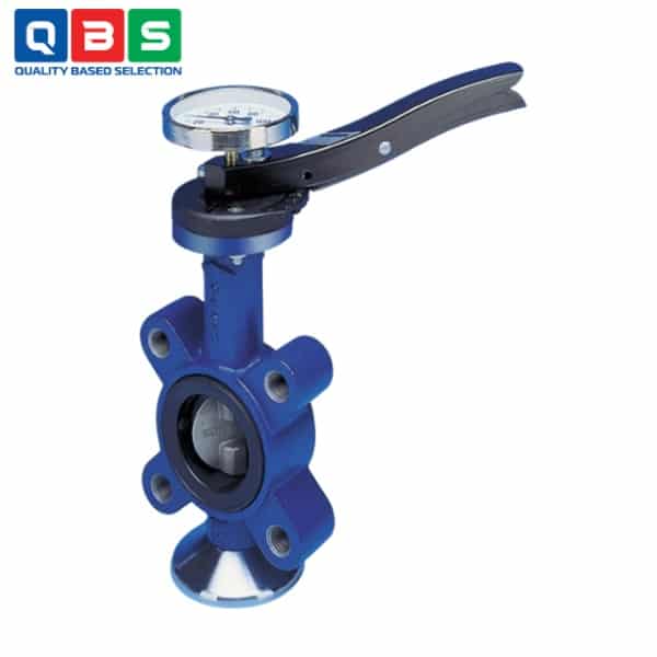 Van bướm ARI-GESA - Ảnh 2