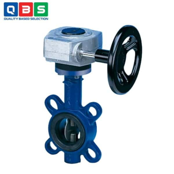 Van bướm ARI-ZESA - Ảnh 4