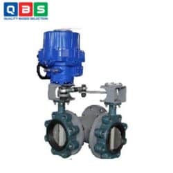 Van bướm 3 ngả GQ...A