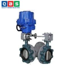 Van bướm 3 ngả GQ...P