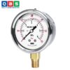 Đồng hồ đo áp suất Wise P254