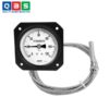 Đồng hồ nhiệt độ Wise T263